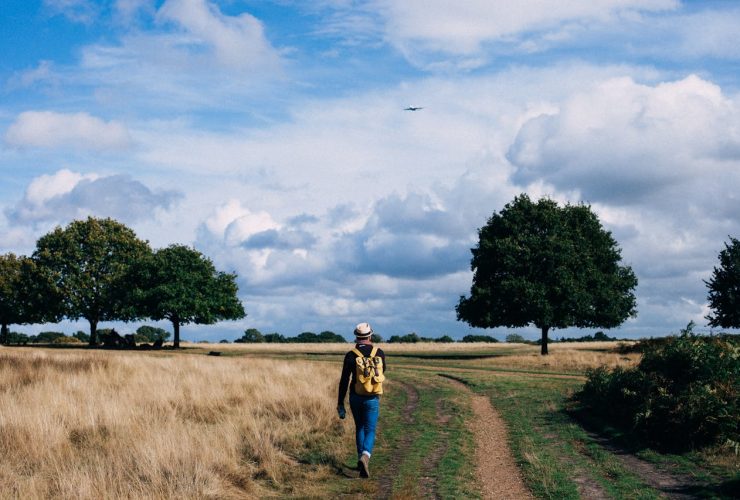 Gelderland